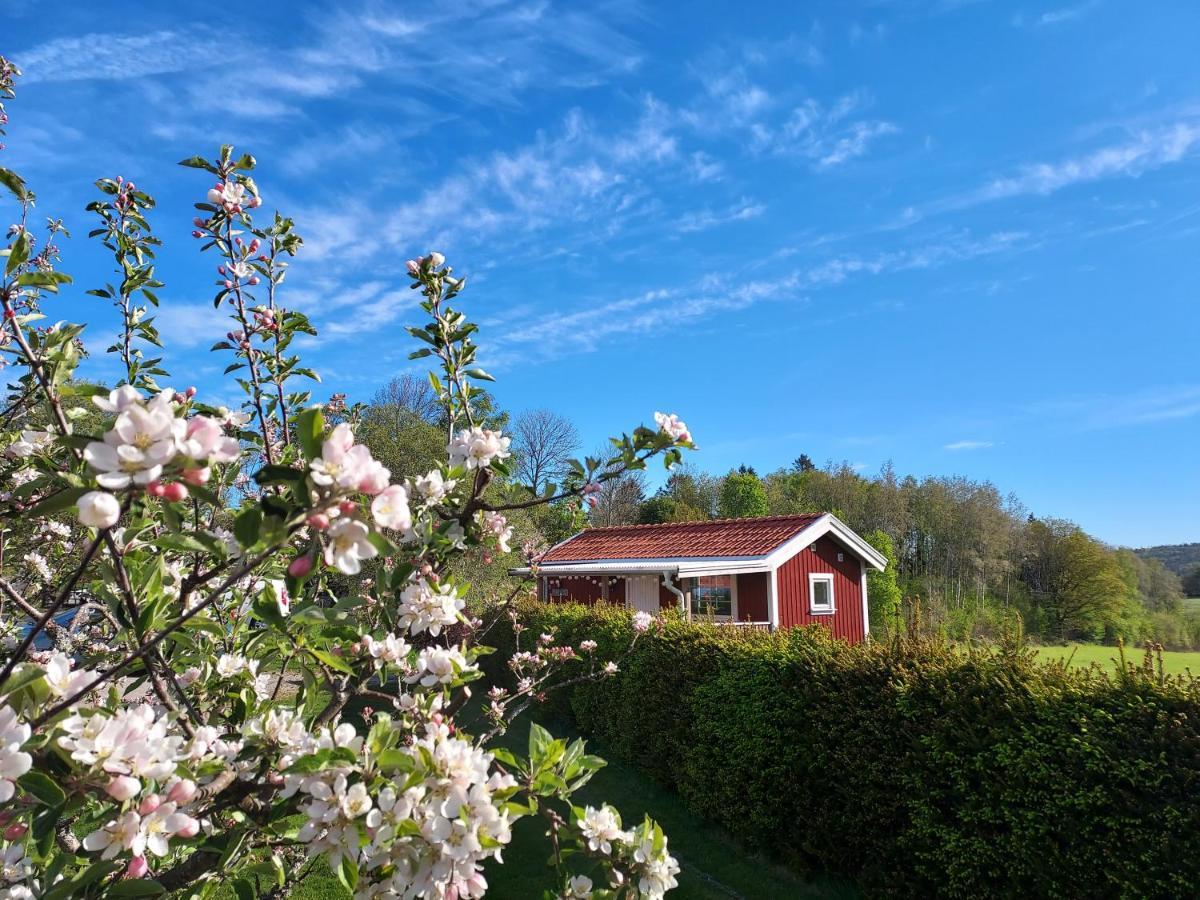 Älgbergets Bed&Breakfast Ucklum Eksteriør billede