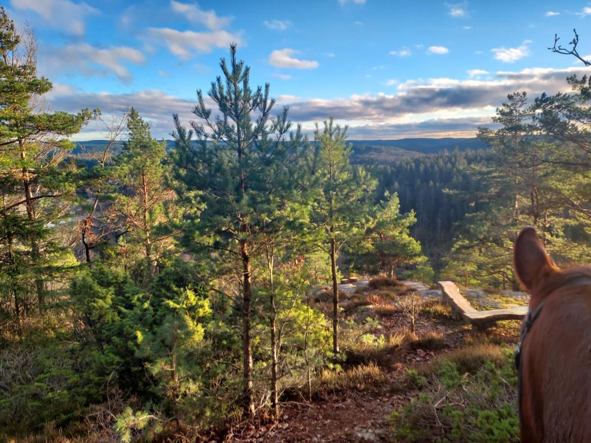 Älgbergets Bed&Breakfast Ucklum Eksteriør billede