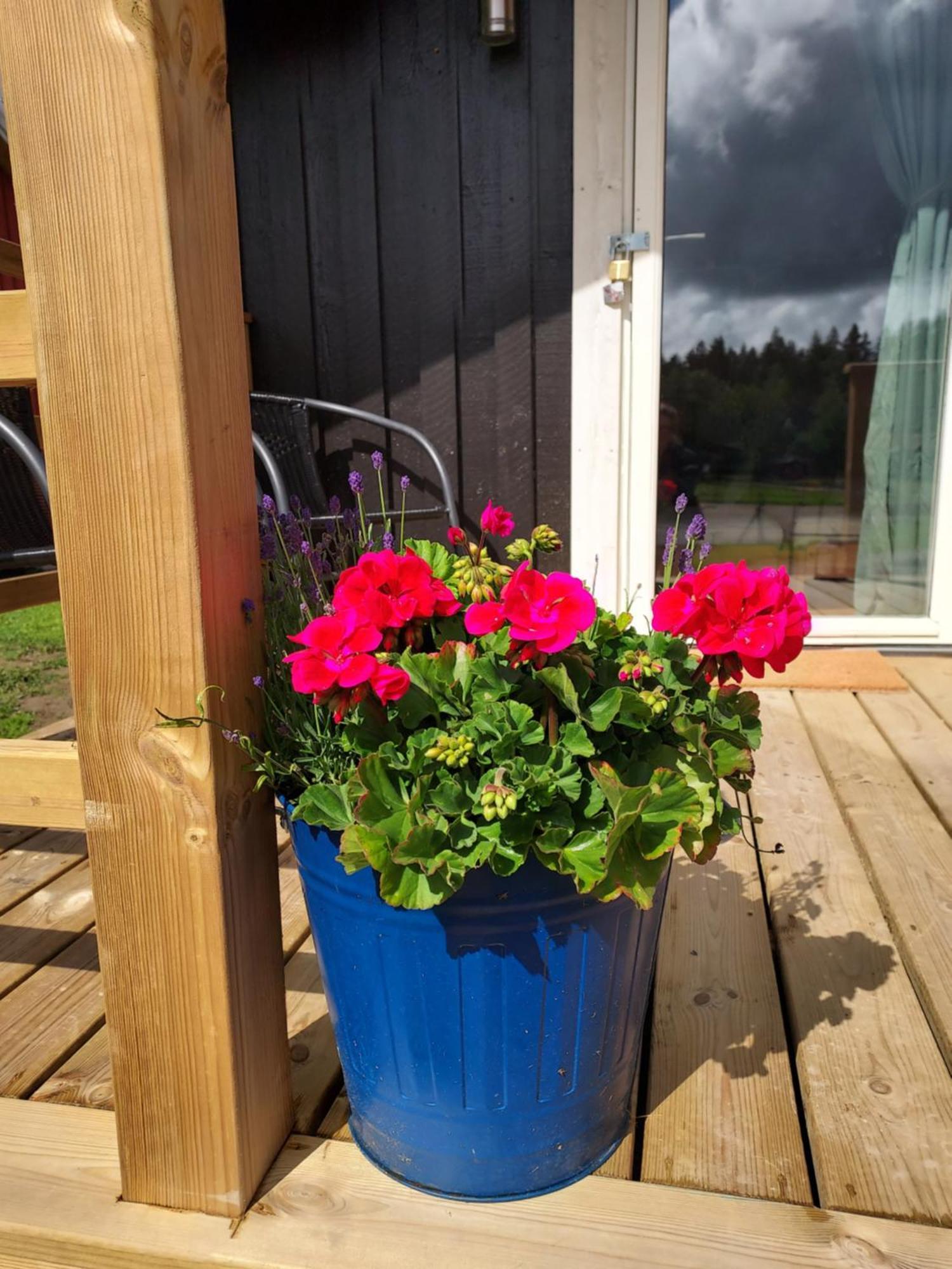 Älgbergets Bed&Breakfast Ucklum Værelse billede